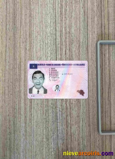 Belgium driving license photolook